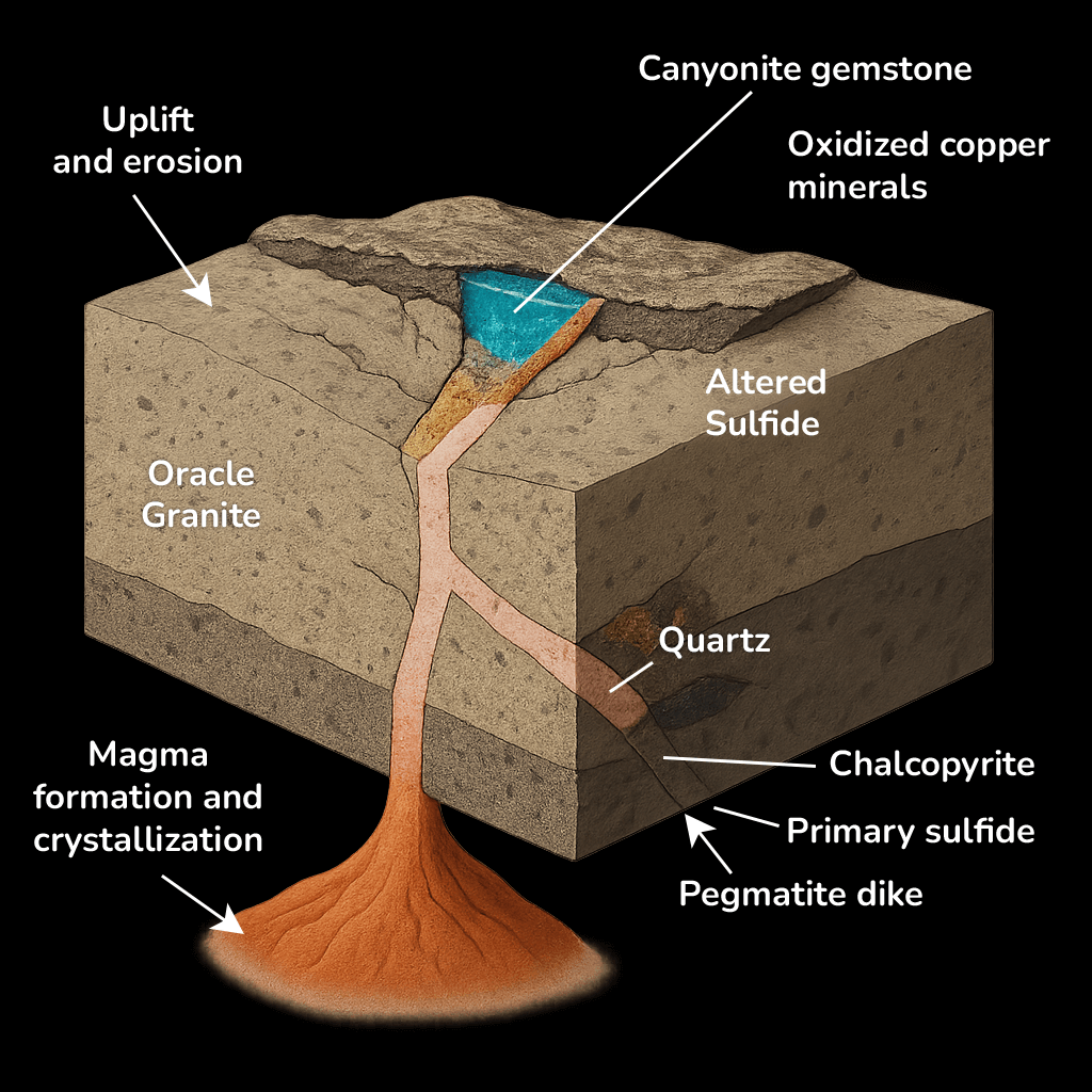 Diagram of a cross-section of Oracle Granite with labeled mineral layers on a black background.