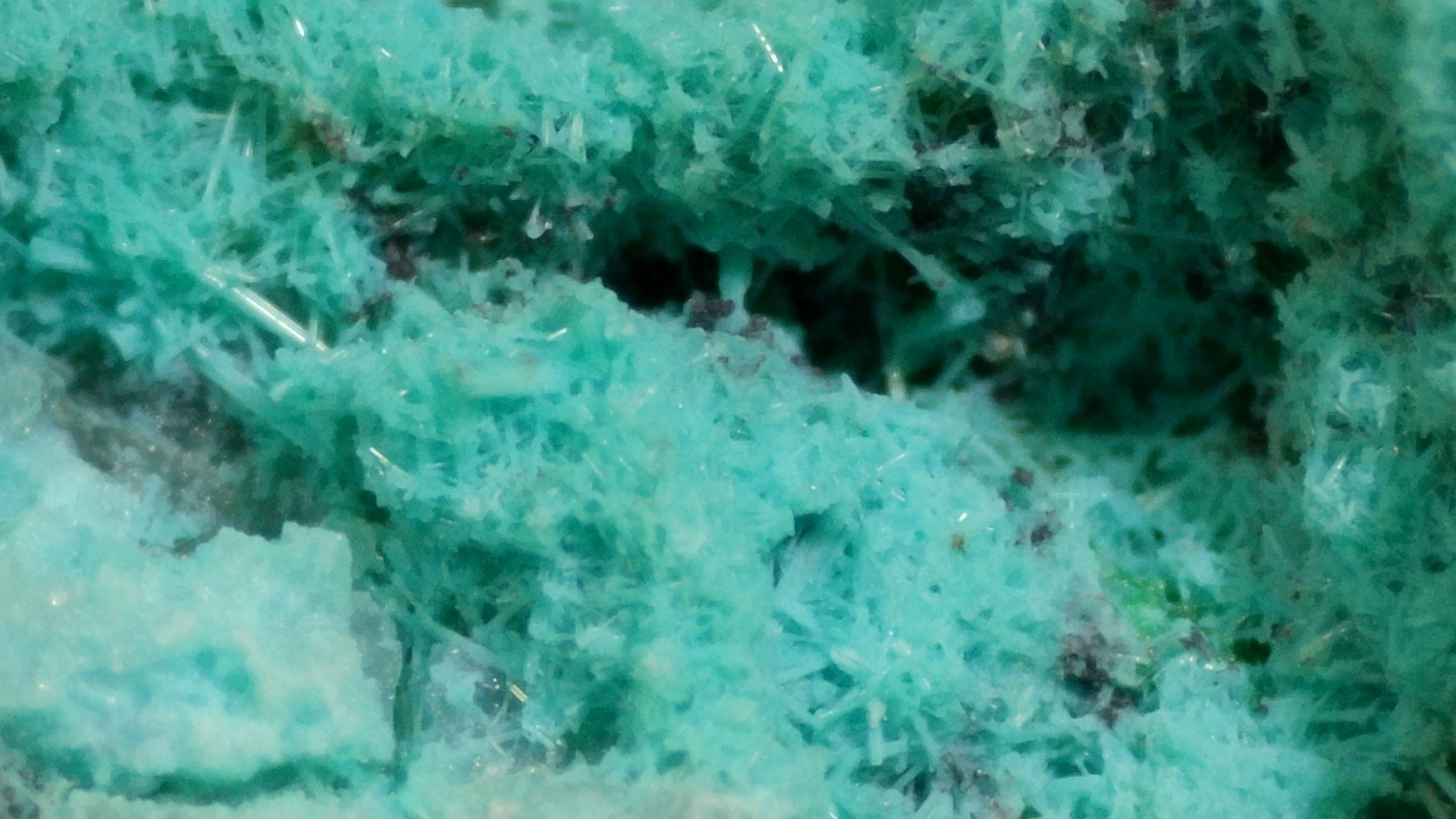 Microscopic blue-green Ajoite mineralization
