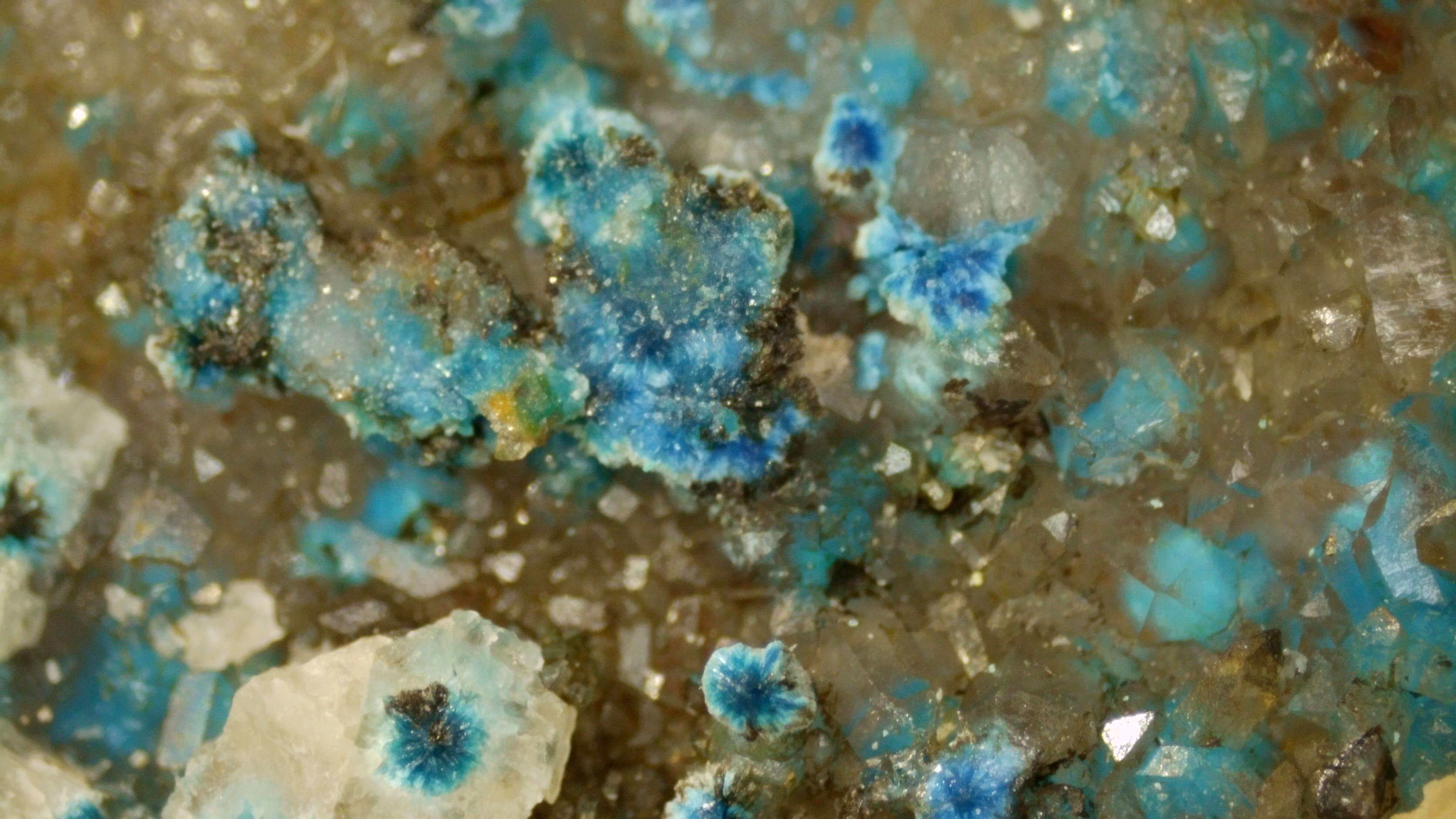 Microscopic cobalt-blue Shattuckite mineralization