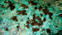 Tenoriate