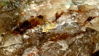 Native Gold (Back Side)