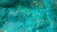 Silicated Chysocolla